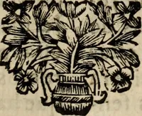 An illustration from Sermoens (1694)
