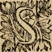 Picture 15 of 23 from Sermoens (1694), leaf 255