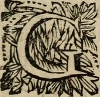 Picture 4 of 23 from Sermoens (1694), leaf 28