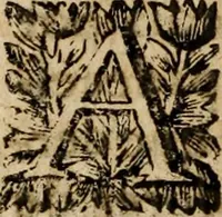 Picture 17 of 23 from Sermoens (1694), leaf 305