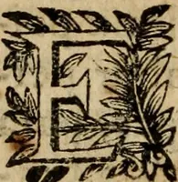 Picture 18 of 23 from Sermoens (1694), leaf 353