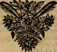 An illustration from Sermoens (1694)