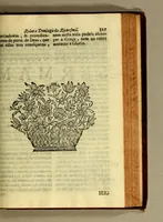 Picture 8 of 13 from Sermoens do P. Antonio Vieira, da Companhia de Jesu, Prègador de Sua Magestade. Quarta parte (1685), leaf 333
