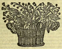 An illustration from Sermoens do P. Antonio Vieira, da Companhia de Iesu, Prégador de Sua Alteza. Primeyra parte (1679)