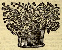 An illustration from Sermoens do P. Antonio Vieira, da Companhia de Iesu, Prégador de Sua Alteza. Segunda parte (1682)