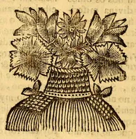 Picture 10 of 11 from Sermoens do P. Antonio Vieyra da Companhia de Jesu, prègador de Sua Magestade, septima parte (1692), leaf 506