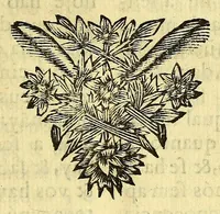 An illustration from Sermoens do P. Antonio Vieyra da Companhia de Jesu, visitador da Provincia do Brasil, prégador de sua magestade, sexta parte (1690)