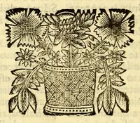 An illustration from Sermoens do P. Antonio Vieira, da Companhia de Jesu, visitador da Provincia do Brasil, Prègador de Sua Magestade. Quinta parte (1689)
