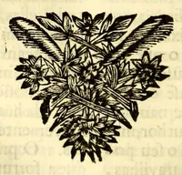An illustration from Sermoens do P. Antonio Vieyra, da Companhia de Jesu, prègador de Sua Magestade. Undecima parte (1696)