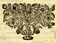 Picture 14 of 14 from Sermoens do P. Antonio Vieyra, da Companhia de Jesu, prègador de Sua Magestade. Undecima parte (1696), leaf 592