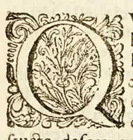Picture 6 of 7 from Sermon (1689), leaf 15