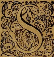 An illustration from Sermones in parabolas evangelicas totius anni .. (1612)