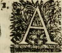 An illustration from Sermones varios, predicados en la cuidad de Lima corte de los reynos del Peru ... Sacalo a luz, Don Matheo Ibañez de Segovia y Peralta, Cavallero de el Orden de Calatrava, discipulo del Auctor. Dedicalos al Exmo. Señor Don Baltasar de la cuevar Enriquez Arias de Saavedra .. (1684)