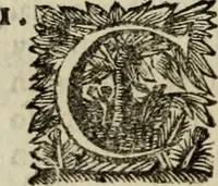 An illustration from Sermones varios, predicados en la cuidad de Lima corte de los reynos del Peru ... Sacalo a luz, Don Matheo Ibañez de Segovia y Peralta, Cavallero de el Orden de Calatrava, discipulo del Auctor. Dedicalos al Exmo. Señor Don Baltasar de la cuevar Enriquez Arias de Saavedra .. (1684)