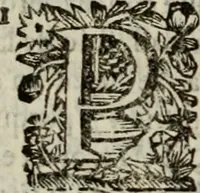 An illustration from Sermones varios, predicados en la cuidad de Lima corte de los reynos del Peru ... Sacalo a luz, Don Matheo Ibañez de Segovia y Peralta, Cavallero de el Orden de Calatrava, discipulo del Auctor. Dedicalos al Exmo. Señor Don Baltasar de la cuevar Enriquez Arias de Saavedra .. (1684)