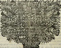 An illustration from Sermones varios, predicados en la cuidad de Lima corte de los reynos del Peru ... Sacalo a luz, Don Matheo Ibañez de Segovia y Peralta, Cavallero de el Orden de Calatrava, discipulo del Auctor. Dedicalos al Exmo. Señor Don Baltasar de la cuevar Enriquez Arias de Saavedra .. (1684)