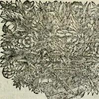 An illustration from Sermones varios, predicados en la cuidad de Lima corte de los reynos del Peru ... Sacalo a luz, Don Matheo Ibañez de Segovia y Peralta, Cavallero de el Orden de Calatrava, discipulo del Auctor. Dedicalos al Exmo. Señor Don Baltasar de la cuevar Enriquez Arias de Saavedra .. (1684)