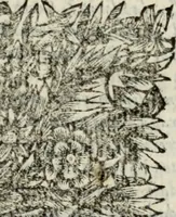 An illustration from Sermones varios, predicados en la cuidad de Lima corte de los reynos del Peru ... Sacalo a luz, Don Matheo Ibañez de Segovia y Peralta, Cavallero de el Orden de Calatrava, discipulo del Auctor. Dedicalos al Exmo. Señor Don Baltasar de la cuevar Enriquez Arias de Saavedra .. (1684)