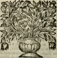 An illustration from Sermones varios, predicados en la cuidad de Lima corte de los reynos del Peru ... Sacalo a luz, Don Matheo Ibañez de Segovia y Peralta, Cavallero de el Orden de Calatrava, discipulo del Auctor. Dedicalos al Exmo. Señor Don Baltasar de la cuevar Enriquez Arias de Saavedra .. (1684)