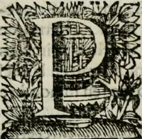 An illustration from Sermones varios, predicados en la cuidad de Lima corte de los reynos del Peru ... Sacalo a luz, Don Matheo Ibañez de Segovia y Peralta, Cavallero de el Orden de Calatrava, discipulo del Auctor. Dedicalos al Exmo. Señor Don Baltasar de la cuevar Enriquez Arias de Saavedra .. (1684)