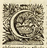 An illustration from Sermon que en la solemne profession de la madre Maria Magdalena de la Soledad (1694)