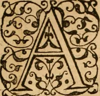 An illustration from Sermons de M. Iean Calvin sur le livre de Iob : recueillis fidelement de sa bouche selon qu'il les preschoit (1569)