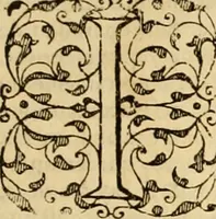 An illustration from Sermons de M. Iean Calvin sur le livre de Iob : recueillis fidelement de sa bouche selon qu'il les preschoit (1569)