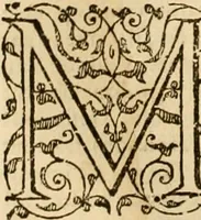 An illustration from Sermons de M. Iean Calvin sur le livre de Iob : recueillis fidelement de sa bouche selon qu'il les preschoit (1569)