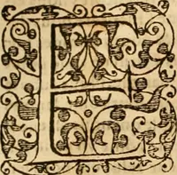 An illustration from Sermons de M. Iean Calvin sur le livre de Iob : recueillis fidelement de sa bouche selon qu'il les preschoit (1569)