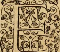 An illustration from Sermons de M. Iean Calvin sur le livre de Iob : recueillis fidelement de sa bouche selon qu'il les preschoit (1569)