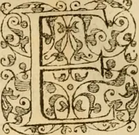 An illustration from Sermons de M. Iean Calvin sur le livre de Iob : recueillis fidelement de sa bouche selon qu'il les preschoit (1569)