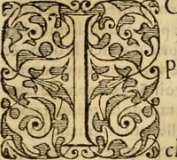 An illustration from Sermons de M. Iean Calvin sur le livre de Iob : recueillis fidelement de sa bouche selon qu'il les preschoit (1569)