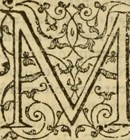 An illustration from Sermons de M. Iean Calvin sur le livre de Iob : recueillis fidelement de sa bouche selon qu'il les preschoit (1569)