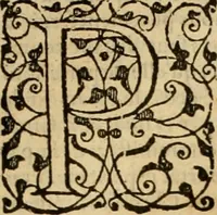 An illustration from Sermons de M. Iean Calvin sur le livre de Iob : recueillis fidelement de sa bouche selon qu'il les preschoit (1569)