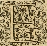 An illustration from Sermons de M. Iean Calvin sur le livre de Iob : recueillis fidelement de sa bouche selon qu'il les preschoit (1569)