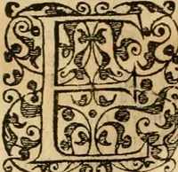 An illustration from Sermons de M. Iean Calvin sur le livre de Iob : recueillis fidelement de sa bouche selon qu'il les preschoit (1569)