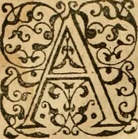 An illustration from Sermons de M. Iean Calvin sur le livre de Iob : recueillis fidelement de sa bouche selon qu'il les preschoit (1569)