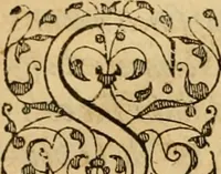 An illustration from Sermons de M. Iean Calvin sur le livre de Iob : recueillis fidelement de sa bouche selon qu'il les preschoit (1569)