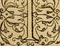 An illustration from Sermons de M. Iean Calvin sur le livre de Iob : recueillis fidelement de sa bouche selon qu'il les preschoit (1569)