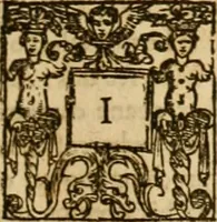 An illustration from Sermons of Master Iohn Caluin upon the booke of Iob (1574)