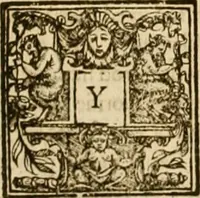 Picture 30 of 116 from Sermons of Master Iohn Caluin upon the booke of Iob (1574), leaf 221