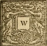 An illustration from Sermons of Master Iohn Caluin upon the booke of Iob (1574)