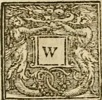 Picture 49 of 116 from Sermons of Master Iohn Caluin upon the booke of Iob (1574), leaf 359