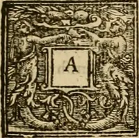 An illustration from Sermons of Master Iohn Caluin upon the booke of Iob (1574)