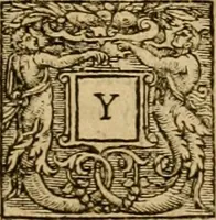 An illustration from Sermons of Master Iohn Caluin upon the booke of Iob (1574)