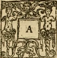 An illustration from Sermons of Master Iohn Caluin upon the booke of Iob (1574)