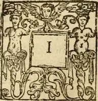An illustration from Sermons of Master Iohn Caluin upon the booke of Iob (1574)