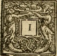 An illustration from Sermons of Master Iohn Caluin upon the booke of Iob (1574)