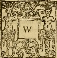 An illustration from Sermons of Master Iohn Caluin upon the booke of Iob (1574)