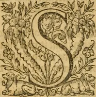 An illustration from Sermons of M. John Calvin upon the x. commandements of the lawe, given of God by Moses, otherwise called the Decalogue : gathered worde for worde, presently at his sermons, when hee preached on Deuteronomie ... (1581)
